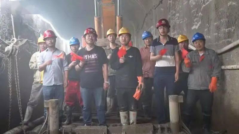 破碎的动物图形2